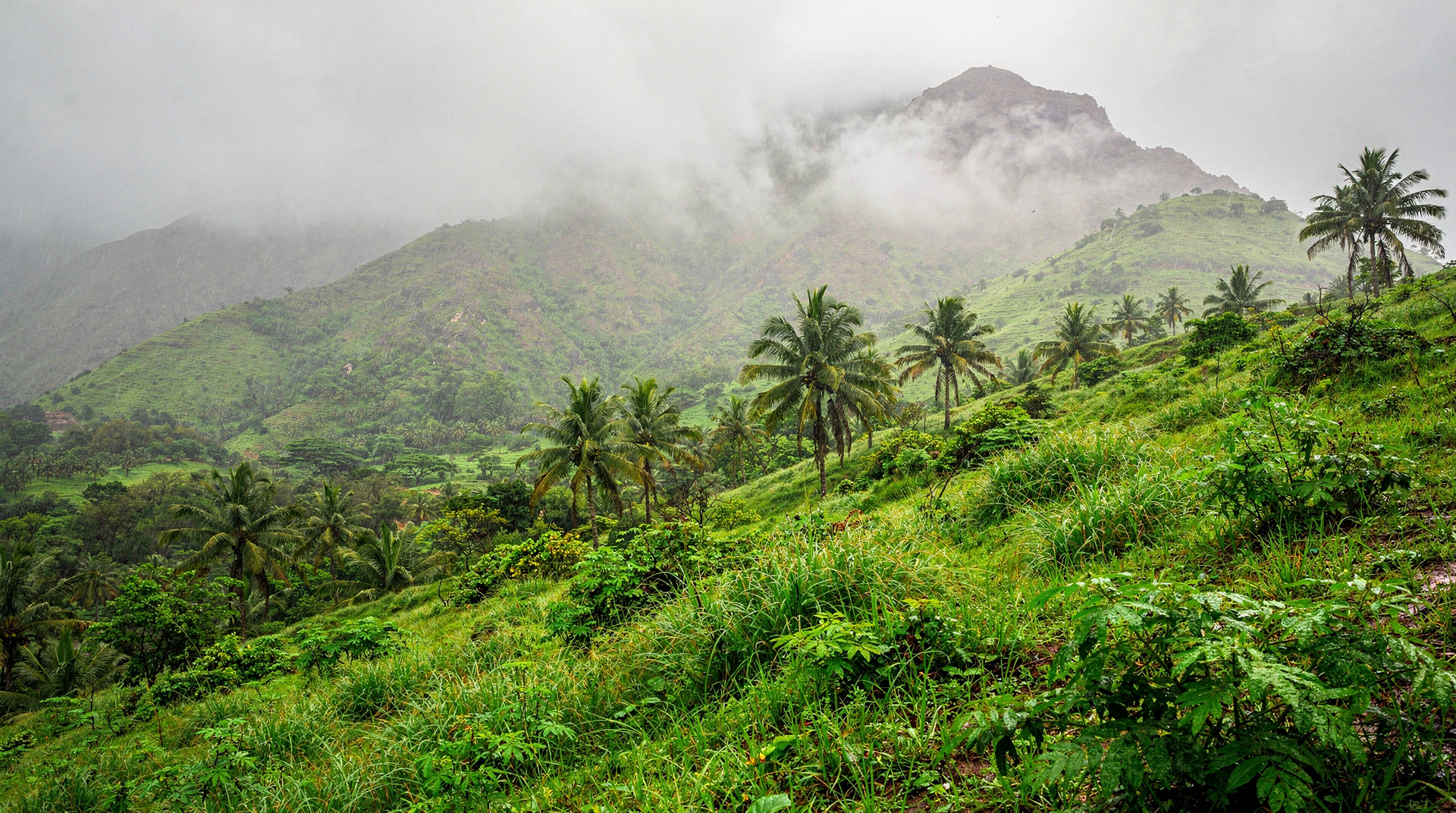 Salalah — Arabia's Monsoon Secret