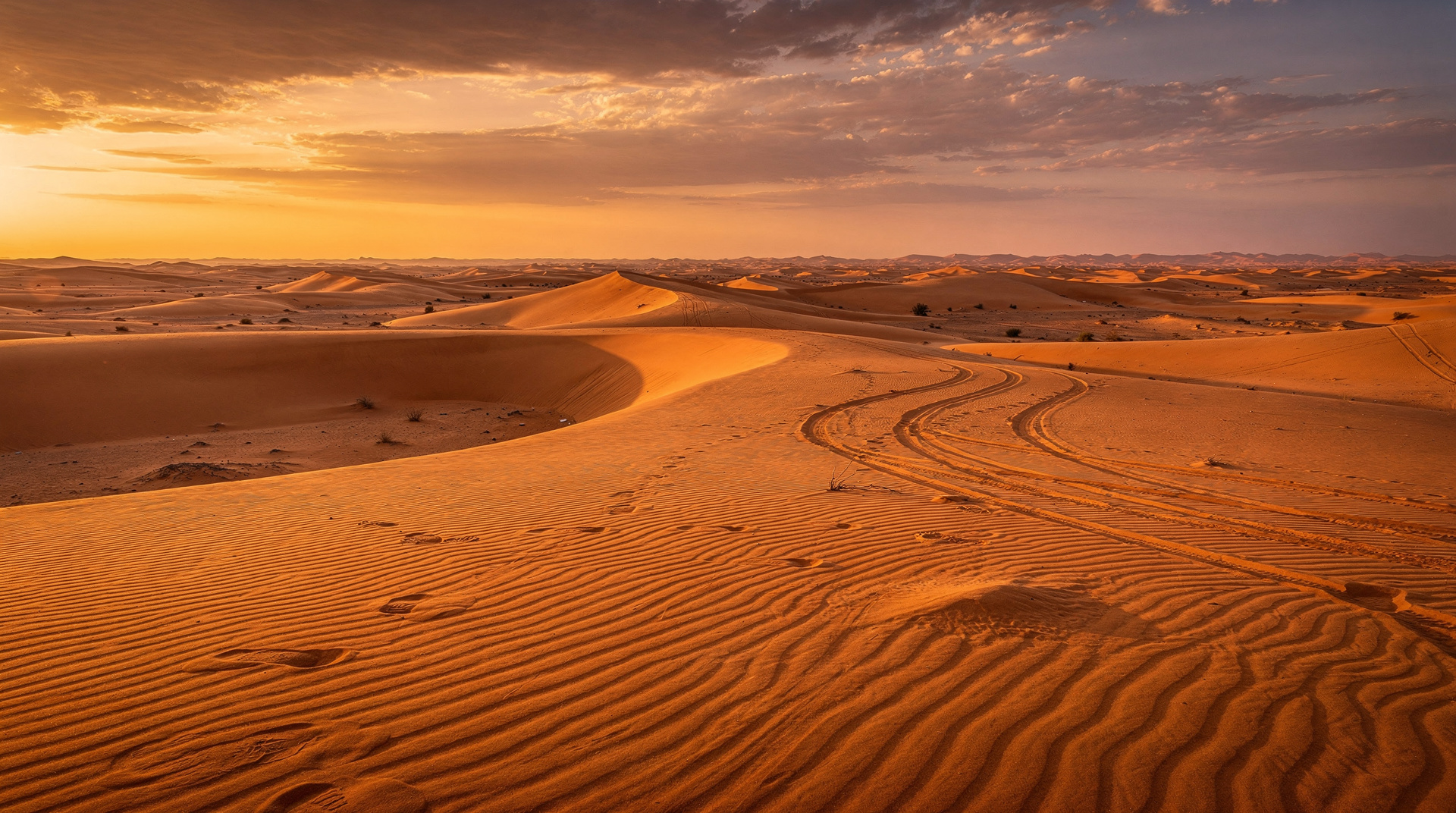 Wahiba Sands — Oman's Living Desert