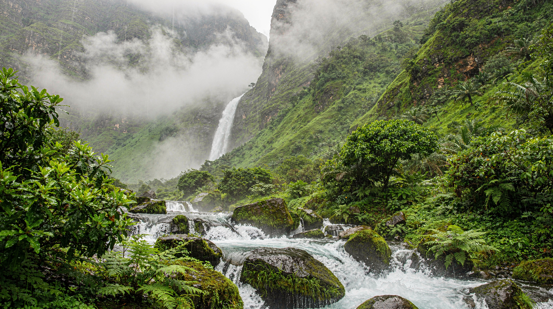 Khareef-Saison in Salalah: Omans Monsun-Ratgeber